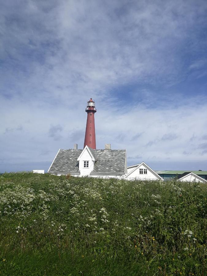 Apt 103 - Andenes Whale Safari Apartments Eksteriør billede